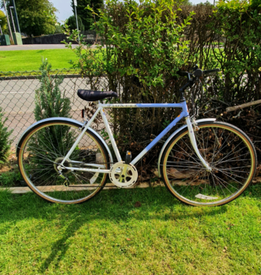 schwinn burnout 14